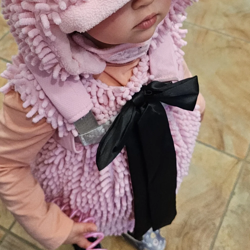24m 2t Xs Pig Piggy Deluxe Costume